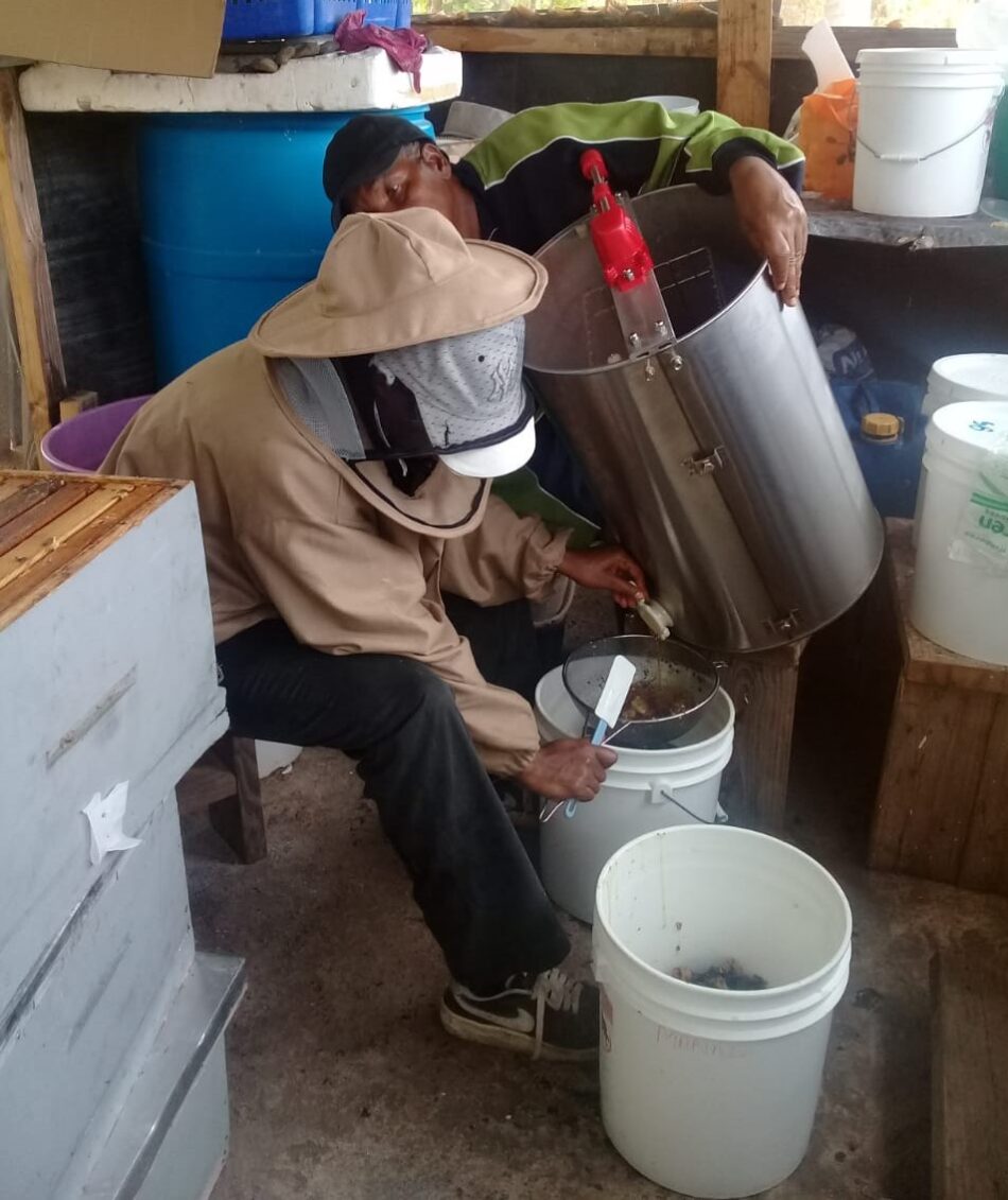 Jamalco Sponsored Beekeeping Community Projects Reap Sweet Rewards